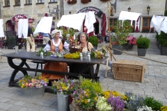 5.WallensteinSamstag2015 040